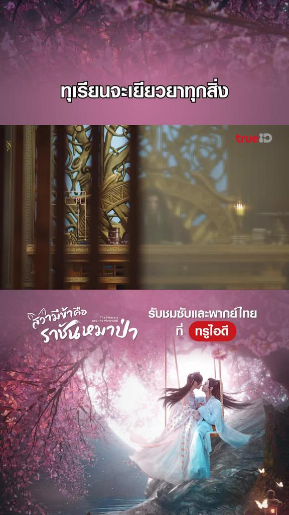 ไฮไลท์ สวามีข้าคือราชันหมาป่า EP.07-03