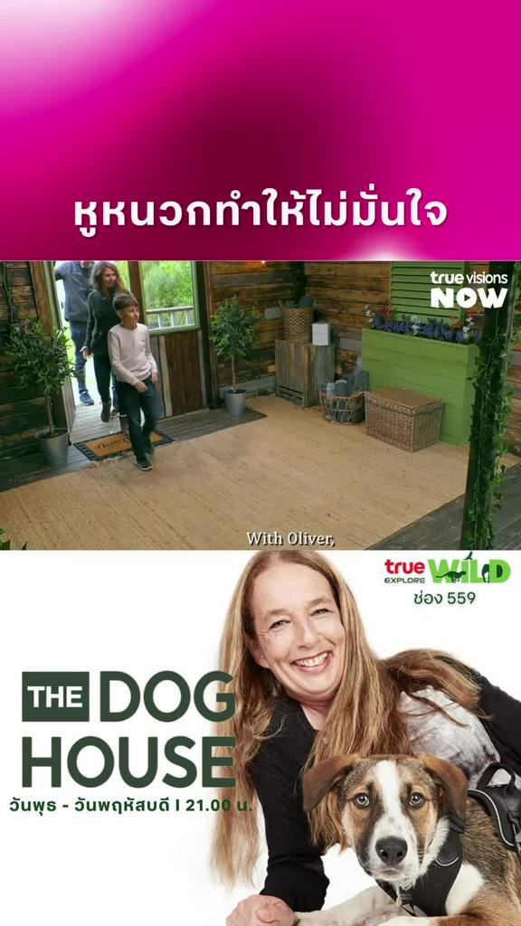 น่าสงสาร l THE DOG HOUSE S4