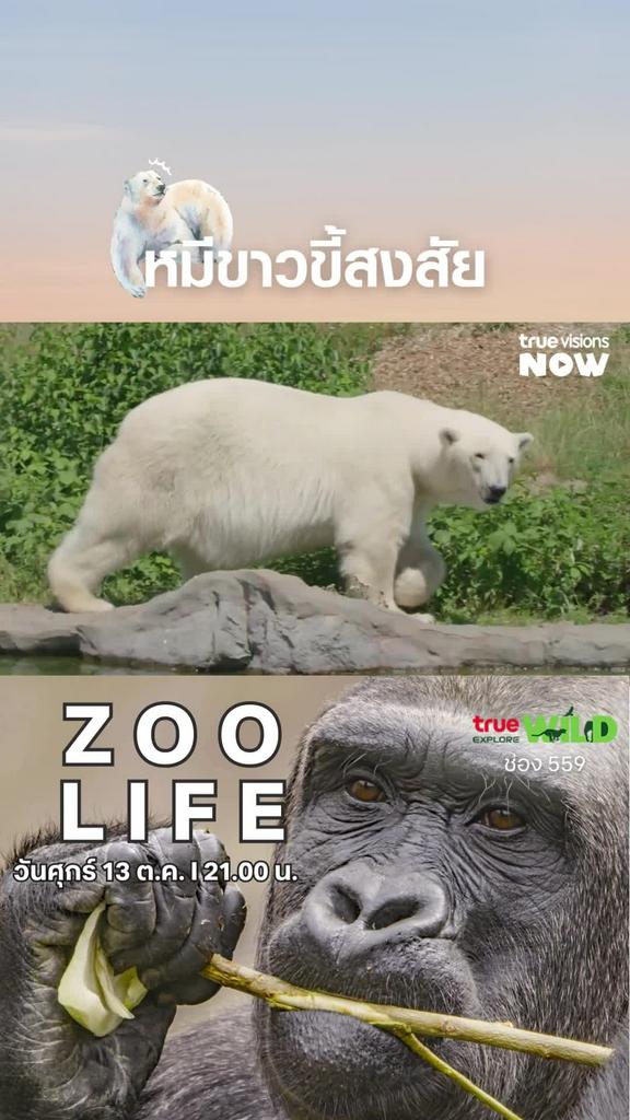 สงสัยมันไปซะทุกอย่าง l ZOO LIFE