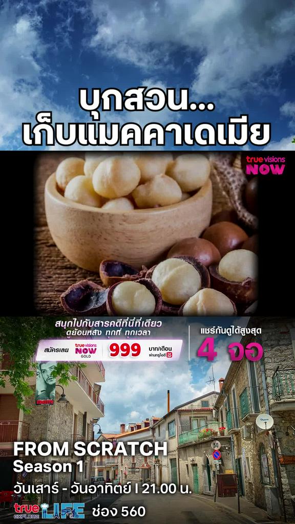 รับถั่วสักหน่อยไหม l FROM SCRATCH 1