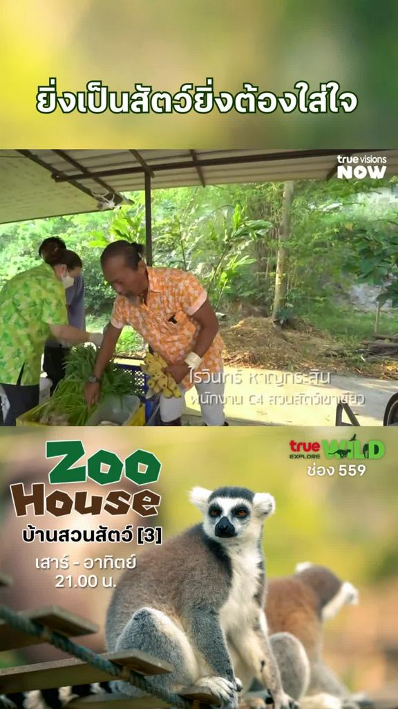 ถ้าสัตว์โหวตได้ สงสัยทีมนี้ได้ขวัญใจแน่นอน l ZOO HOUSE 3