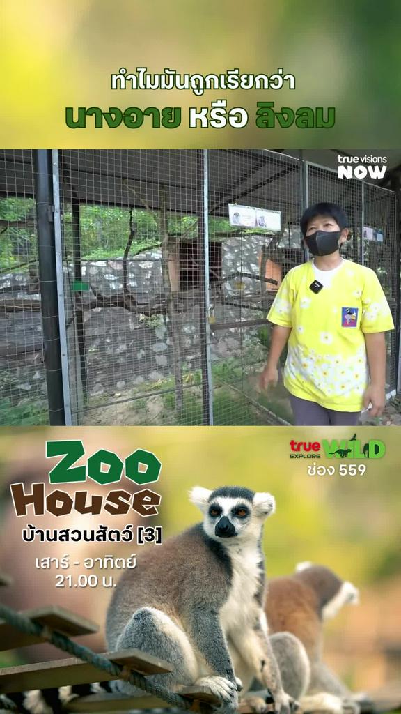 มันเป็นแบบนี้นี่เอง l ZOO HOUSE 3