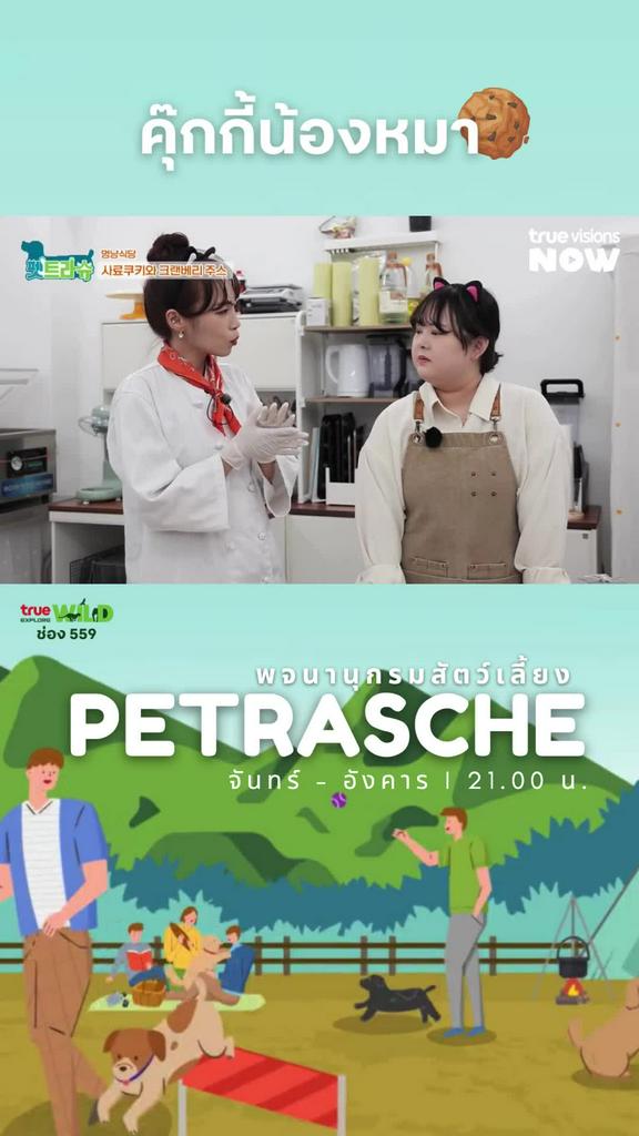 ทำตามได้เลย น้องหมาปลื้มแน่นอน l PETRASCHE