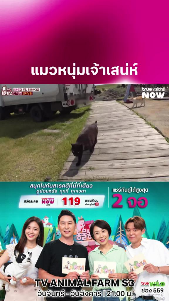 สาวตรึมเลยนะ l TV ANIMAL FARM S3