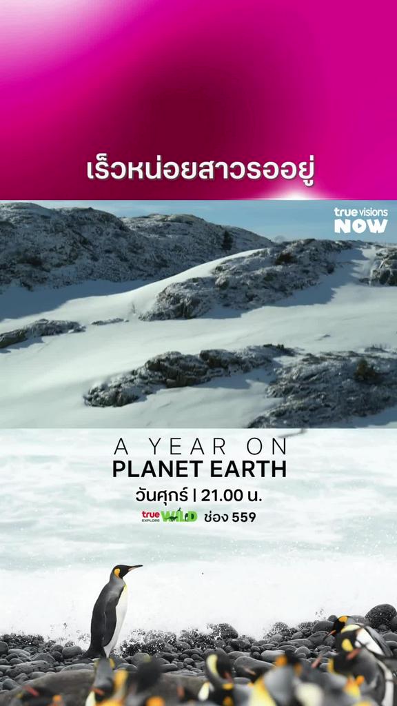 ลุ้นมาก เมื่อไหร่จะได้เจอสาวซะที l A YEAR ON PLANET EARTH