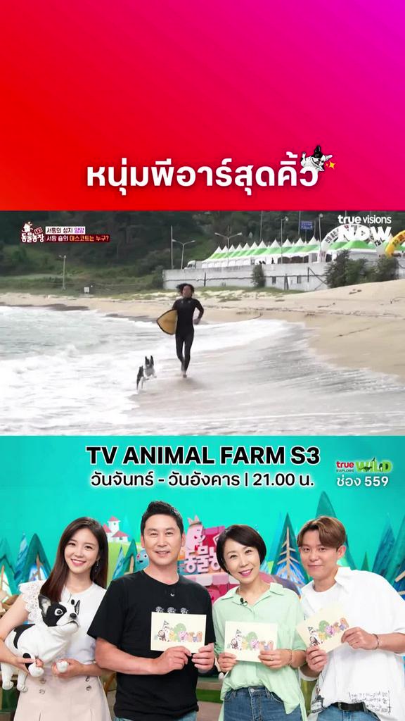 ใจเหลวเลยนะ เจอแบบนี้ l TV ANIMAL FARM S3