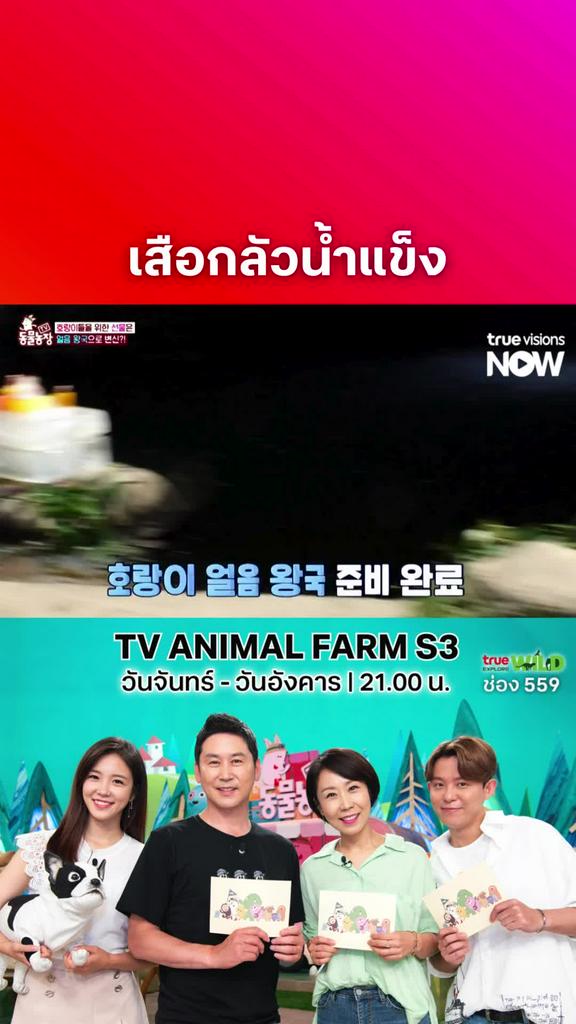 ขี้กลัวเหมือนกันนะไอ้หนู l TV ANIMAL FARM S3