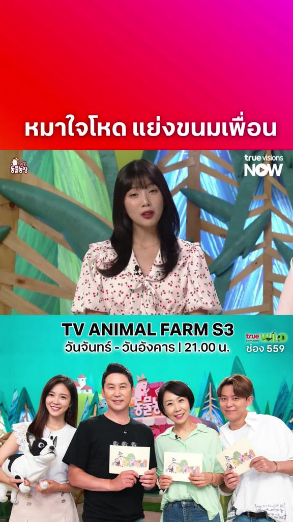 เหลี่ยมมากนะเจ้าหมา ใครสอนแกมาเนี้ยะ l TV ANIMAL FARM S3