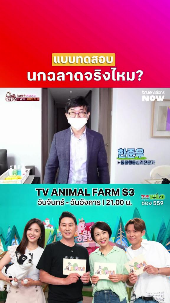 ลูกฉันฉลาดที่สุด l TV ANIMAL FARM S3