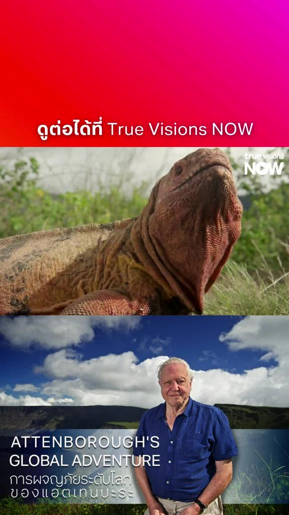 น้องอยู่มาอย่างยาวนาน l ATTENBOROUGH'S GLOBAL ADVENTURE