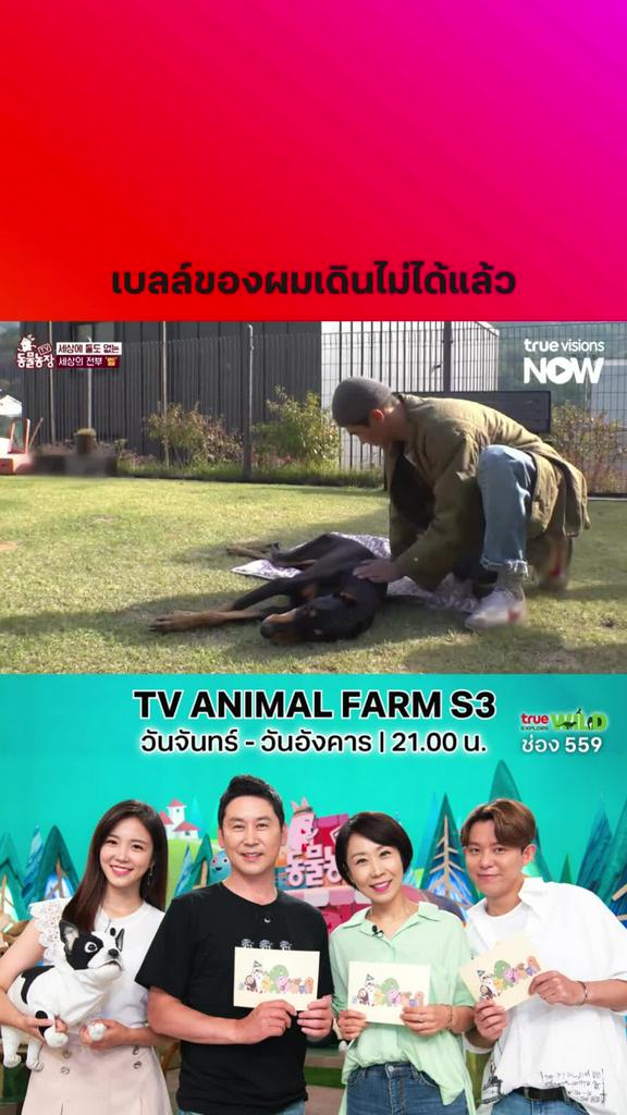 เลี้ยงสัตว์ต้องหมั่นพาไปหาหมอนะ l TV ANIMAL FARM S3