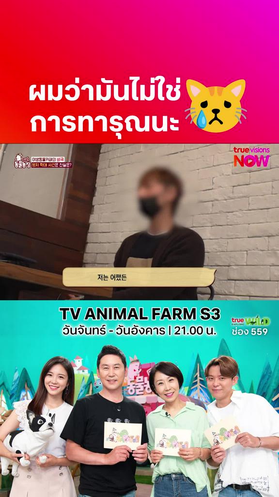 ทัศนคติแย่ l TV ANIMAL FARM S3