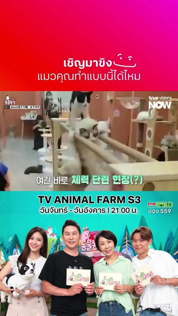 ลูกบ้านไหนเก่งแบบนี้บ้าง เชิญอวด l TV ANIMAL FARM S3