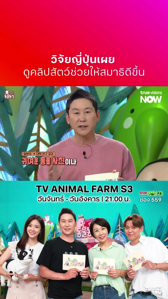 เชิญดูวนสัก 10 รอบ แล้วดูซิว่ามีสมาธิขึ้นมั้ย l TV ANIMAL FARM S3