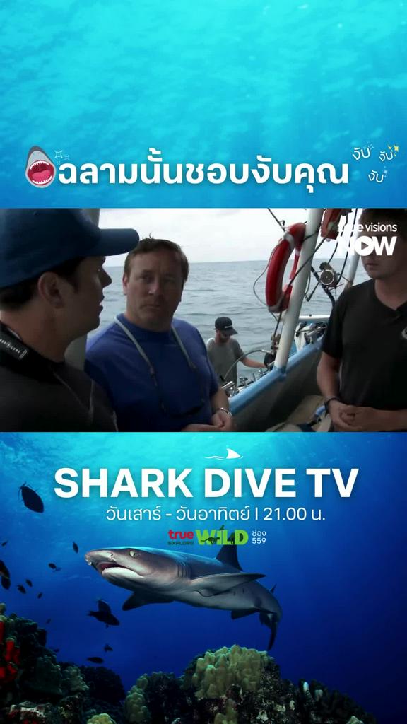 ขอสัมผัสสักนิ๊ดด l SHARK DIVE TV S1