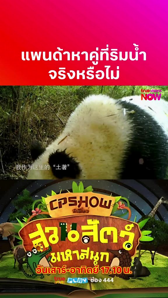 ใช่หรือมั่ว ชัวร์หรือไม่ l ZHENGDA VARIETY SHOW - WOW! ANIMAL PART 3