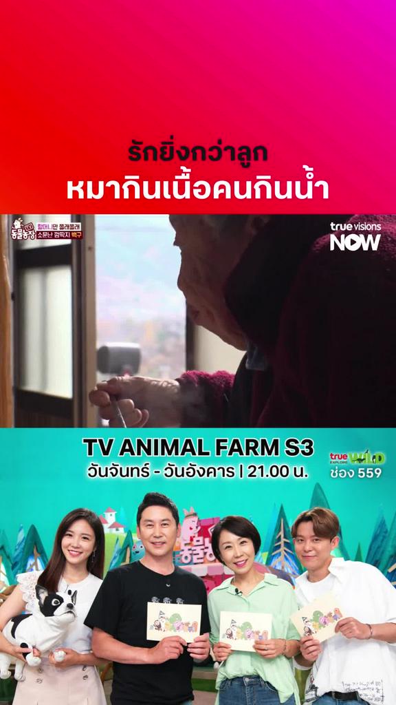 รักหมามากกว่าลูกก็มา l TV ANIMAL FARM S3