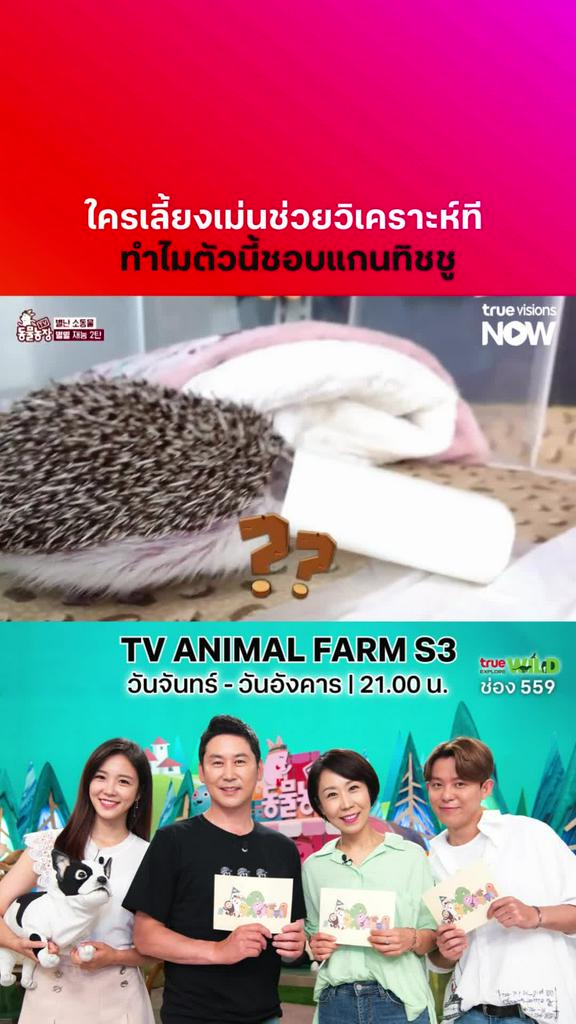 จะชอบอะไรขนาดนั้น l TV ANIMAL FARM S3