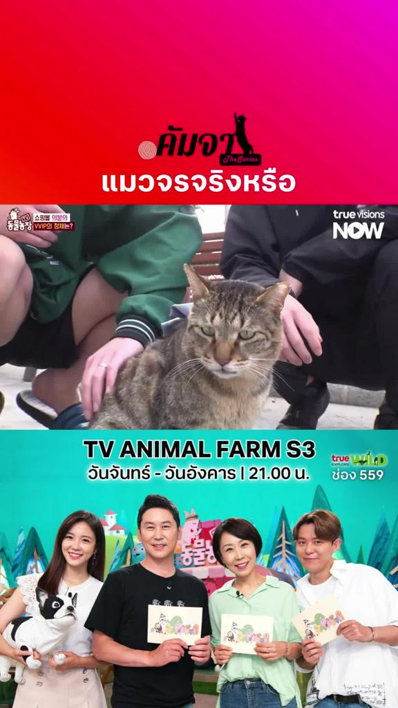 อุ้ย! น่าเอ็นดู l TV ANIMAL FARM S3