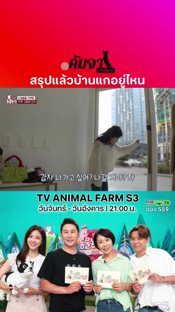 สรุปแล้วบ้านแกหลังไหน l TV ANIMAL FARM S3