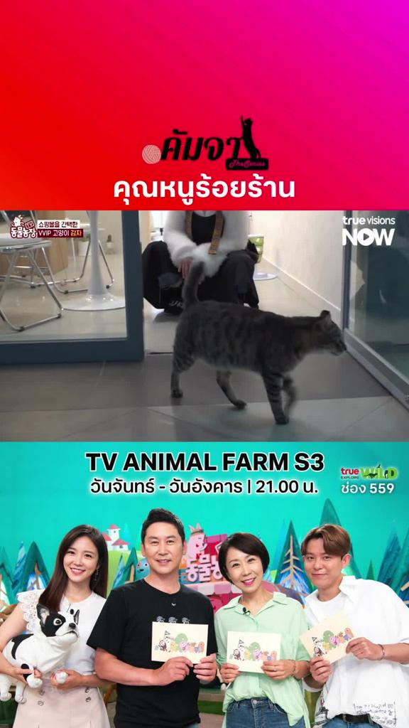 แท้จริงแล้ว แกคือลูกเจ้าของตึกใช่มั้ย l TV ANIMAL FARM S3