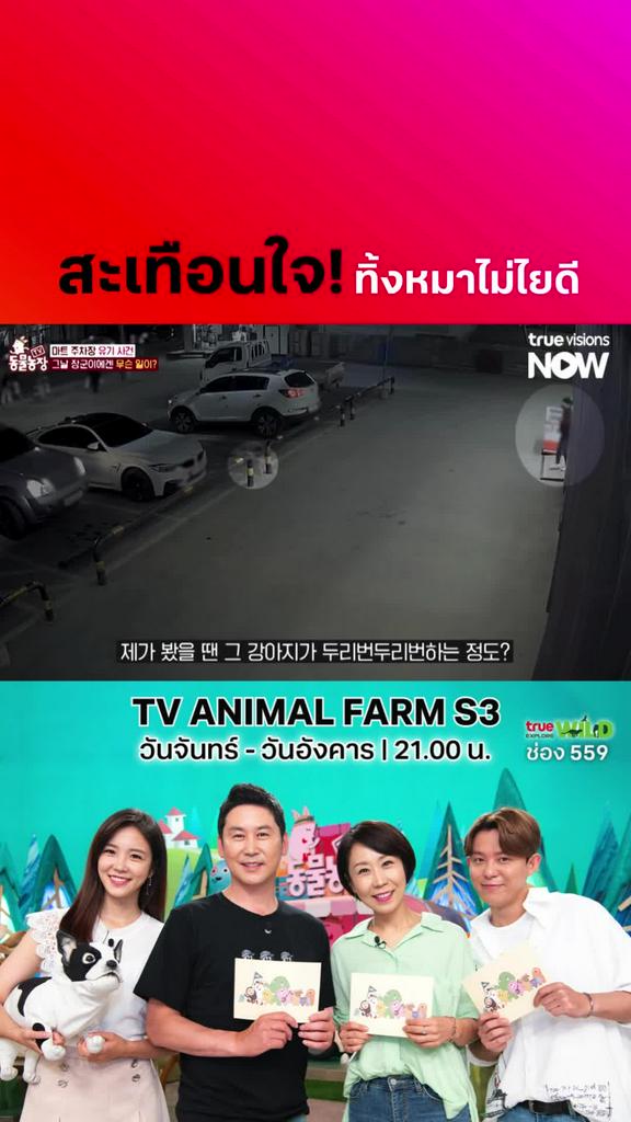 ทิ้งกันแบบนี้เลยหรือ? l TV ANIMAL FARM S3