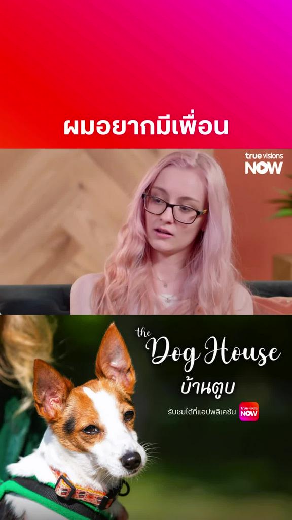 รายการสัตว์ที่ดูแล้วใจฟู l THE DOG HOUSE S5