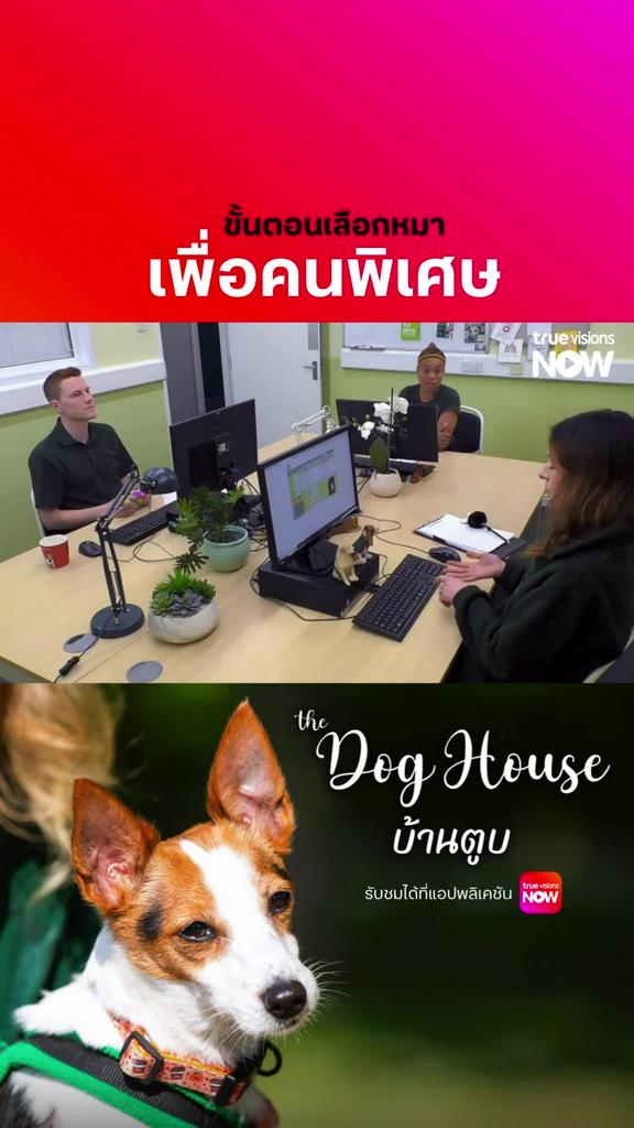 ขั้นตอนพิถีพิถันในการเลือกเพื่อน l THE DOG HOUSE S5