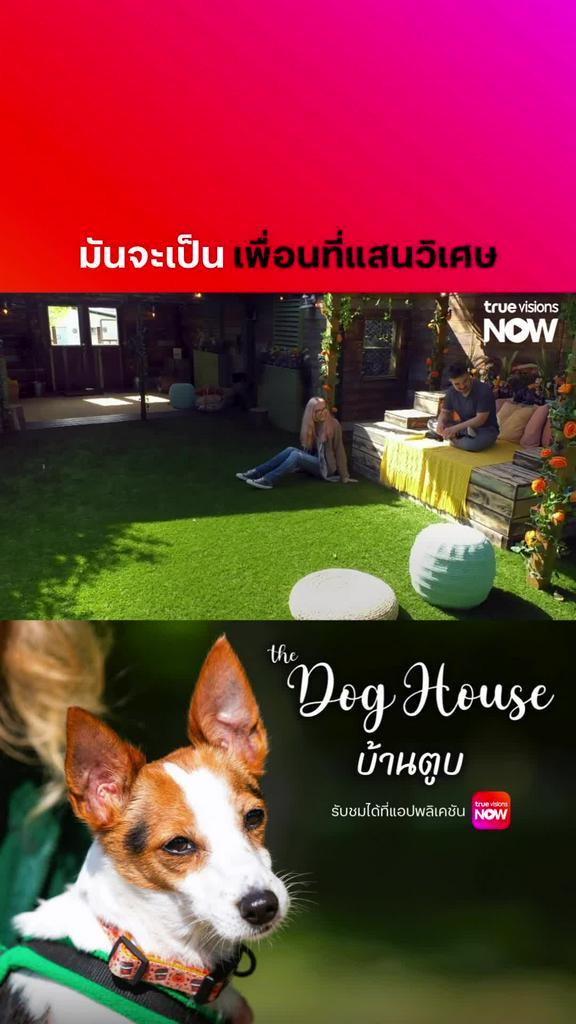 มันจะเป็นเพื่อนที่ดีที่สุด l THE DOG HOUSE S5