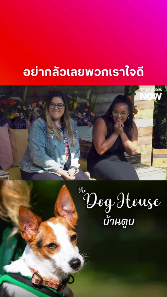 ยากที่จะเปิดใจ สู้ๆนะ 2 สาว l THE DOG HOUSE