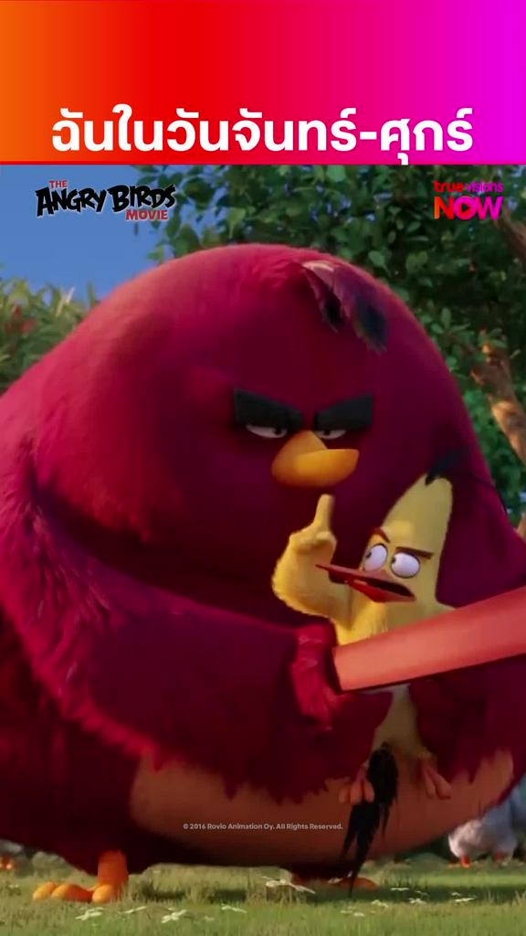 อ่อมตั้งเช้ายันค่ำ | THE ANGRY BIRDS MOVIE