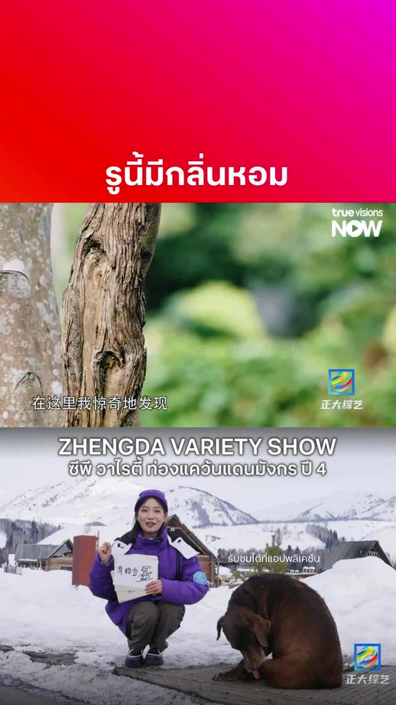 ต้องมีรูถึงจะมีกลิ่น l ZHENGDA VARIETY SHOW S4