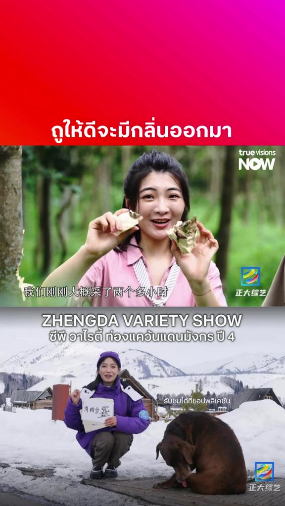 ต้นเบ่อเร่อ ใช้ได้นิดเดียว l ZHENGDA VARIETY SHOW S4