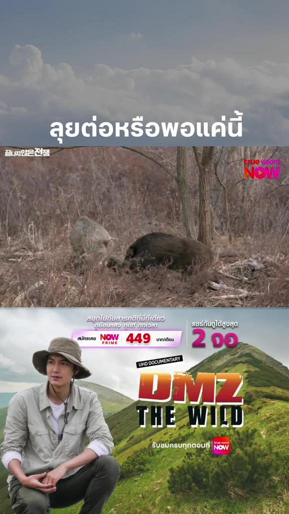 เป็นสาวเป็นนางก็ต้องมีเล่นตัวกันบ้าง l DMZ THE WILD