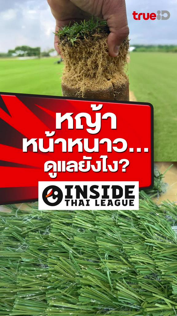 หญ้าหน้าหนาว ดูแลยังไง : INSIDE THAI LEAGUE